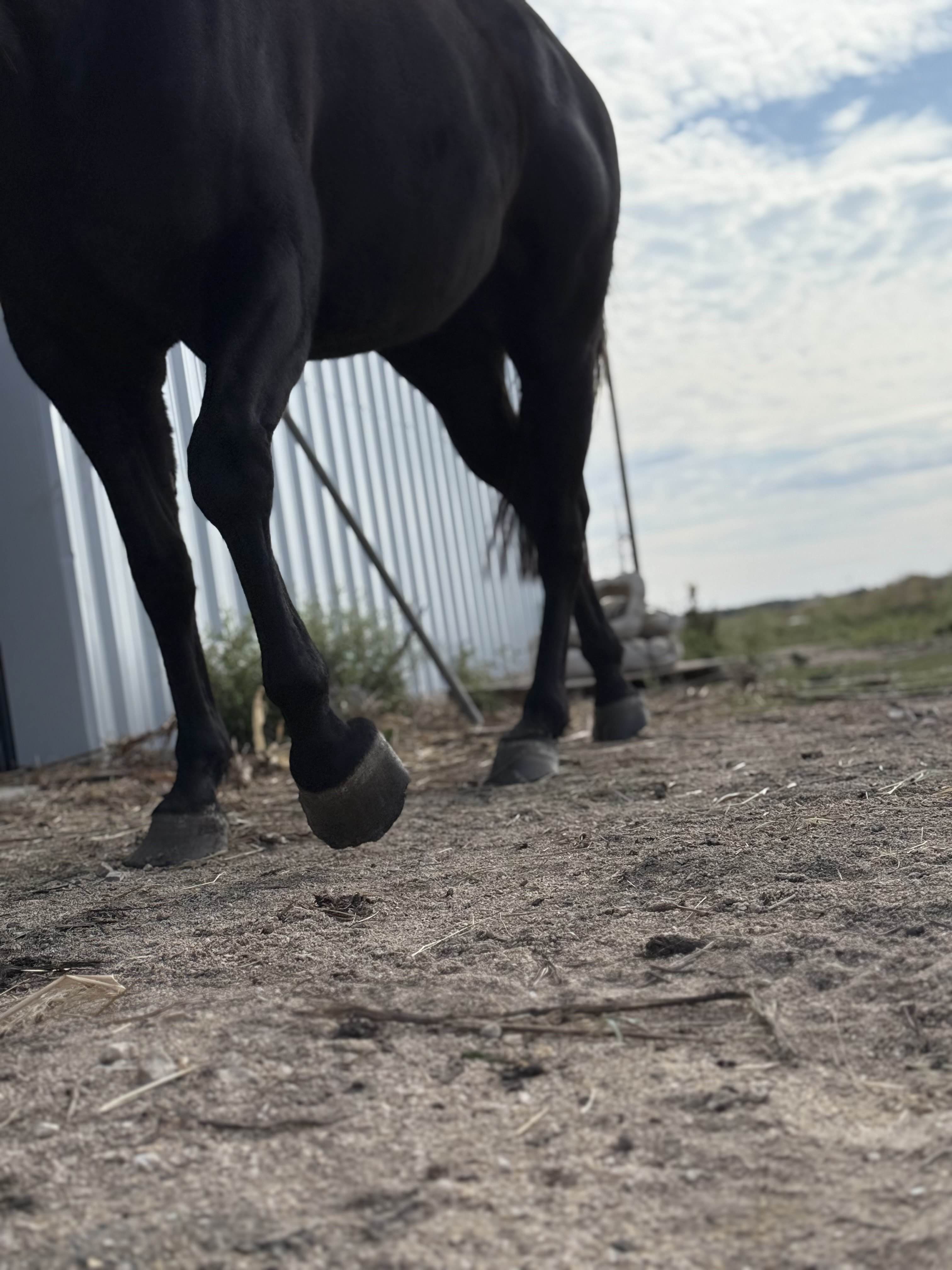Pavilion at sunset with rolling Texas hill-country views at Silver Mesa Ridge